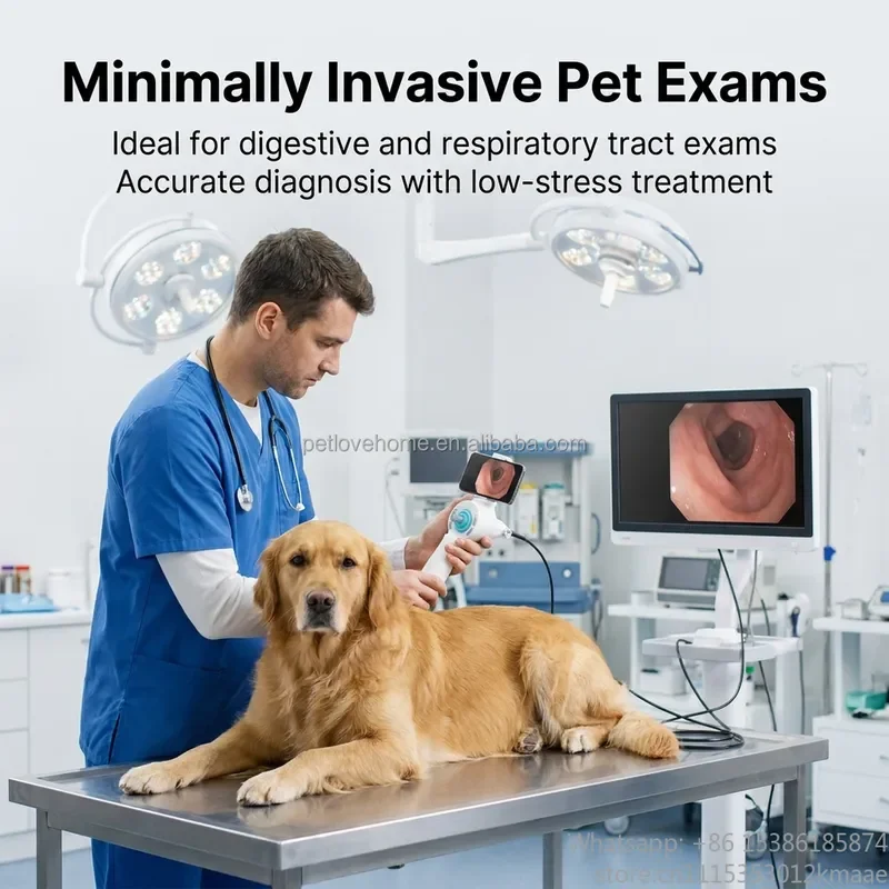 Vequyn All-in-One Handheld Veterinary Endoscope Workstation with Digital Image Processor