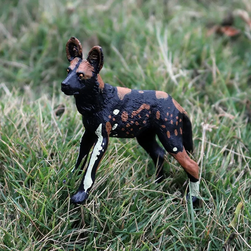 Oenux Klassische Wilde Afrikanische Tiere Simulation Tiger Hyaenidae Action Figur Figuren PVC Modell Bildung Schule Kind Spielzeug – Detail 17
