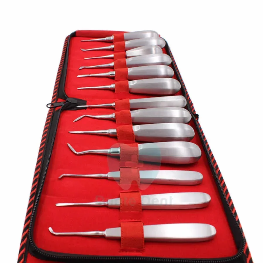 Professional Instruments Luxating Lift Elevator Teeth Set of 13Pieces Coupland Crossbar Cryer Straight Elevators Stainless Steel