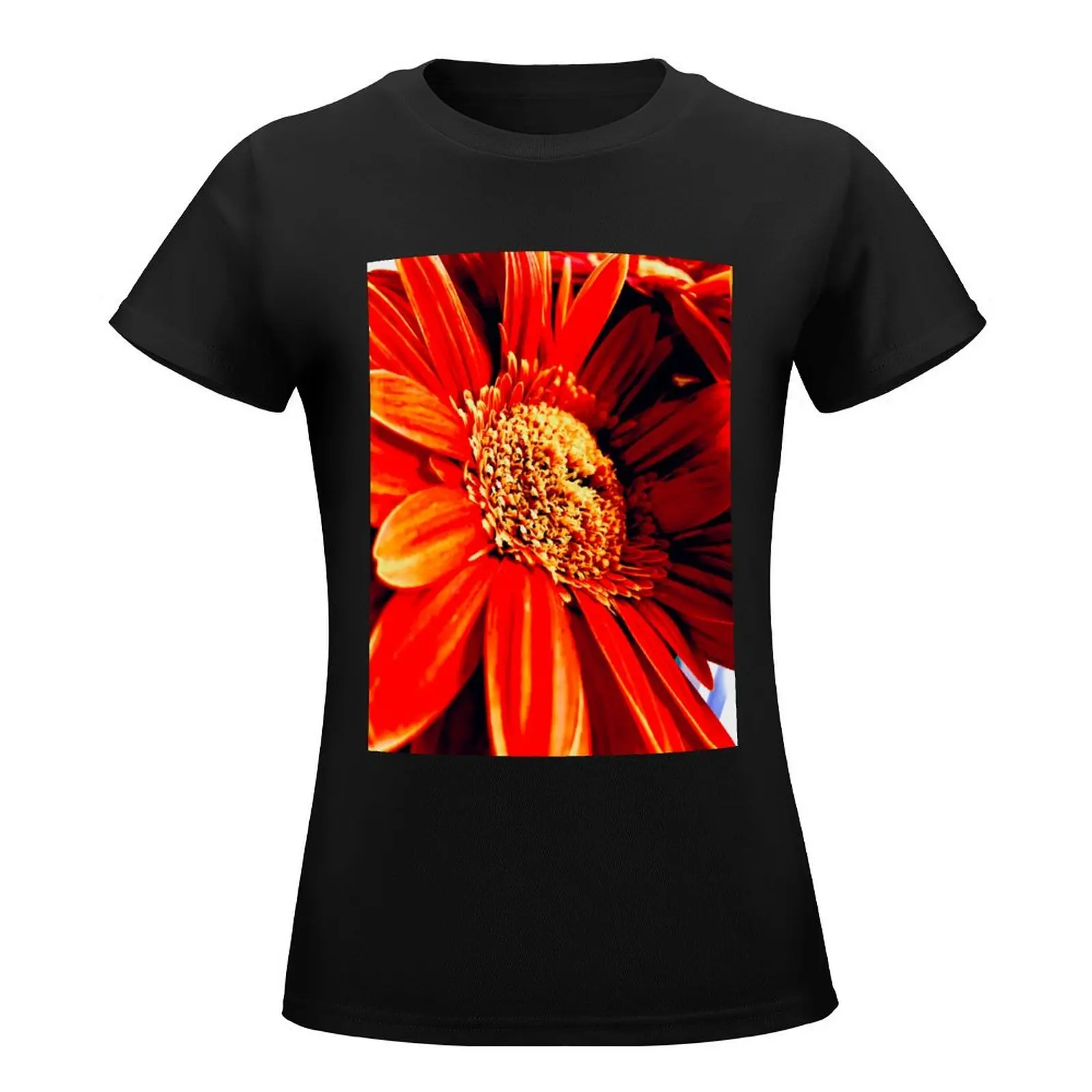 Orange Gerbera T-Shirt tops graphics shirts graphic tees animal print shirt for girls Women clothes