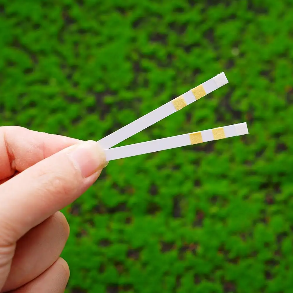 50/150/250 Strips 3-IN-1 Swimming Pool PH Test Paper Multipurpose Chlorine/PH/Bromine Test Strips Swimming Pool Water Tester Too