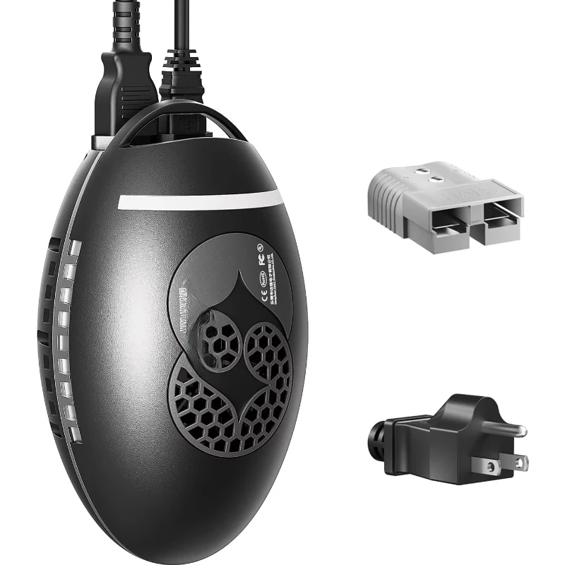 Fast charger, lithium iron phosphate battery charger for electric motorcycles