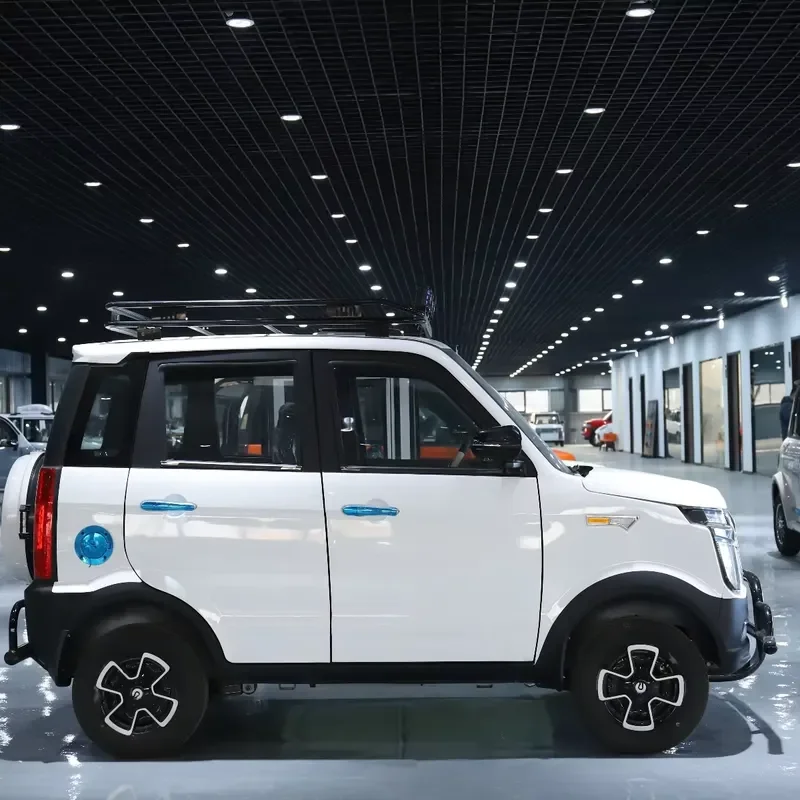 1500W Mini Electric Vehicle 4 Wheels Low Speed New Energy Car 45km/h 100km Range Lead Acid Battery City Commuter