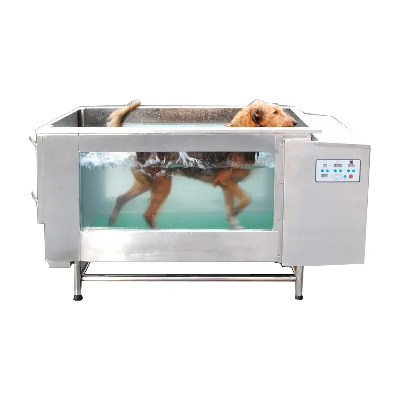 Hot New Hydrotherapy Water Treadmill for Dogs Veterinary Crayon's Underwater Training Pet Medical Equipment Customized