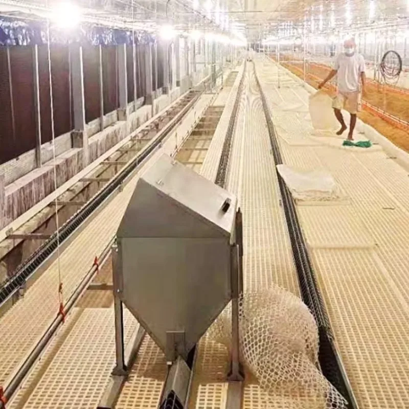 Customizable Breeder House Chain Feeding System Poultry Feeder Chain Automatic Poultry Feeding Line Poultry Chicken Feeder