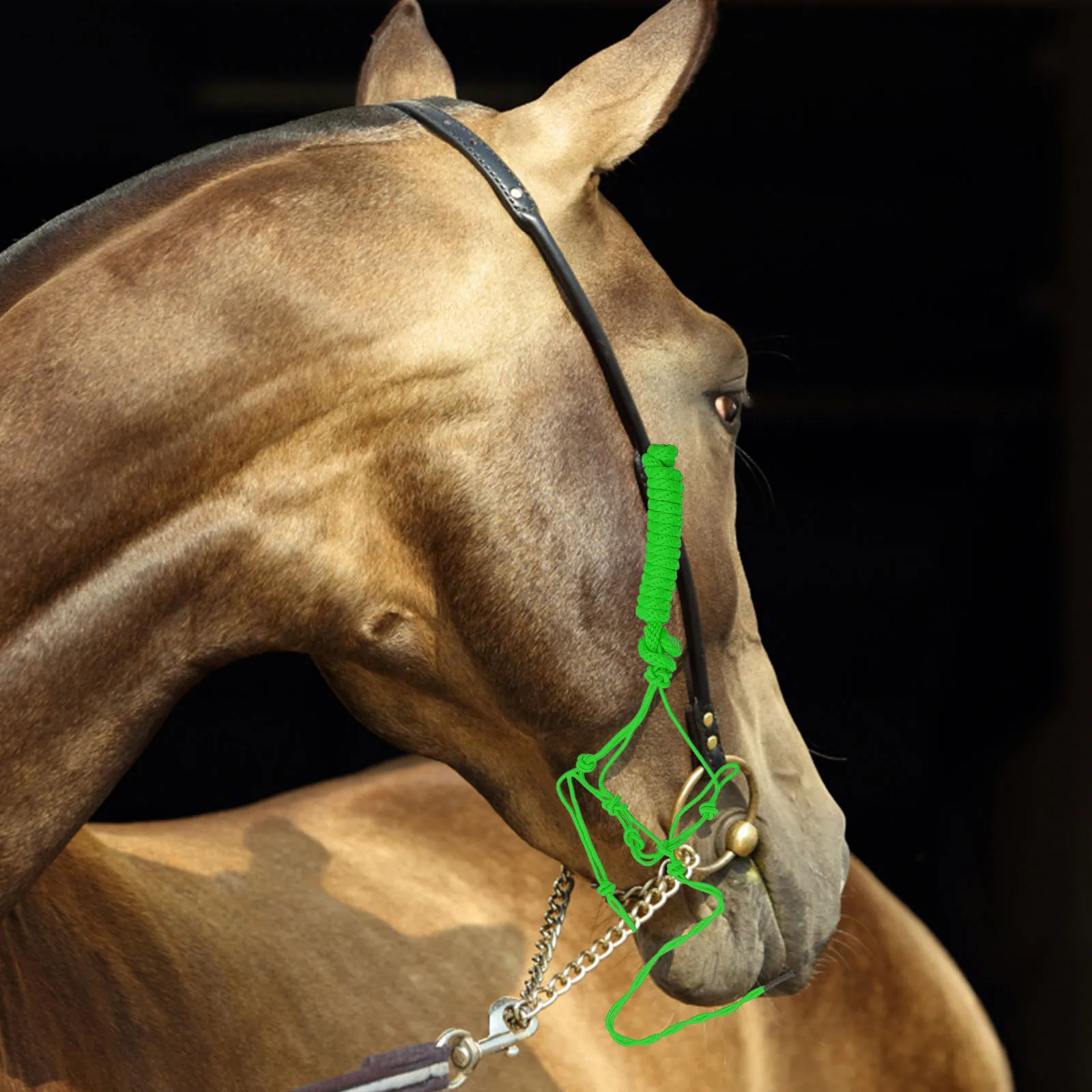 Холтер для лошади, портативная тесьма, износостойкий узел, жесткая ткань, тренировочный бретелька, аксессуар для лошади, нагрудный воротник в стиле вестерн