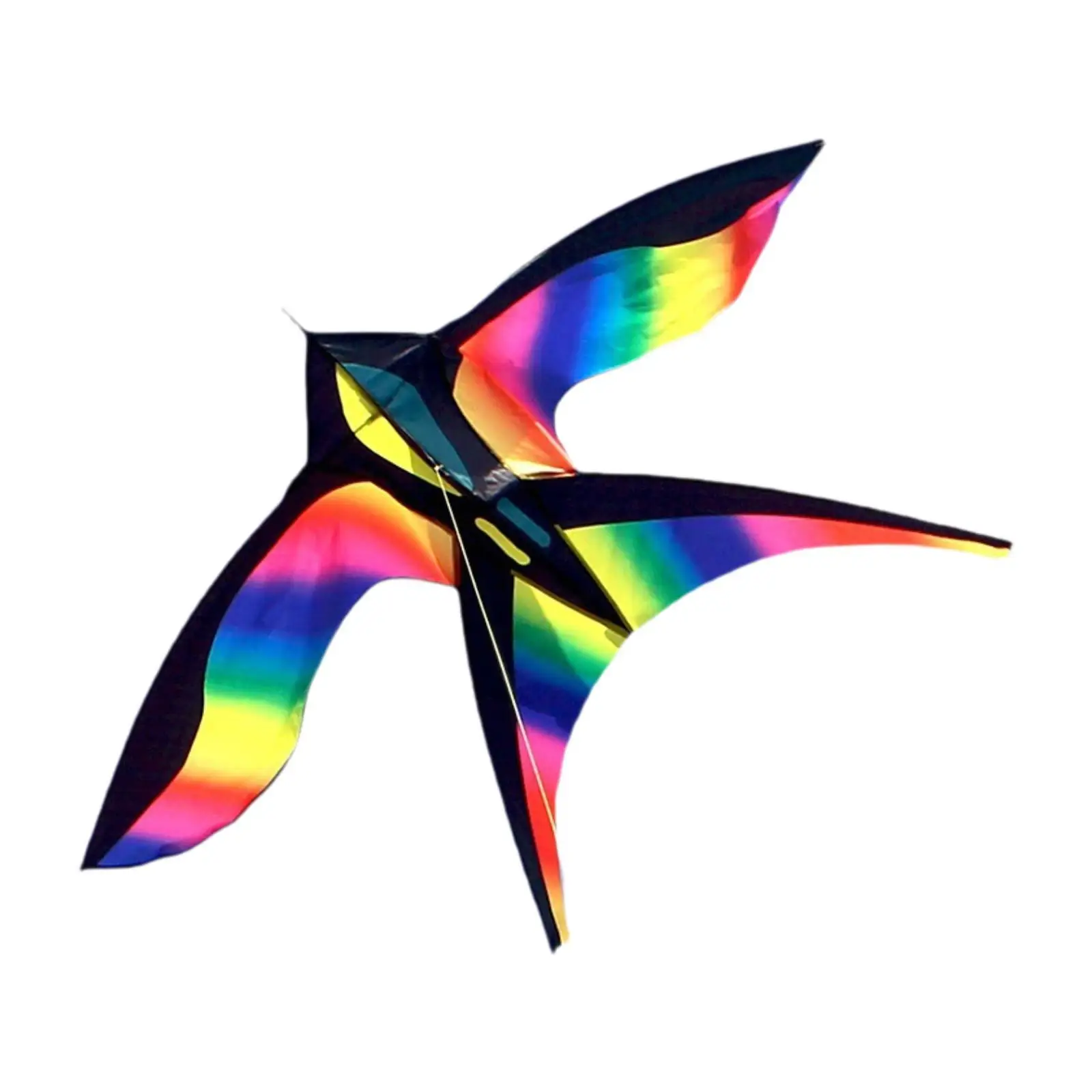 Kite Kiting professionnel coloré pour voyage dans l'arrière-cour (chaîne non incluse)