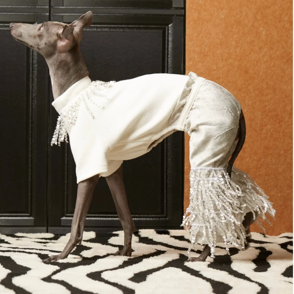 

Элегантный белый комбинезон для собак-девочек на весну, цельный, на четырех лапах, с бахромой, для итальянских грейхаундов