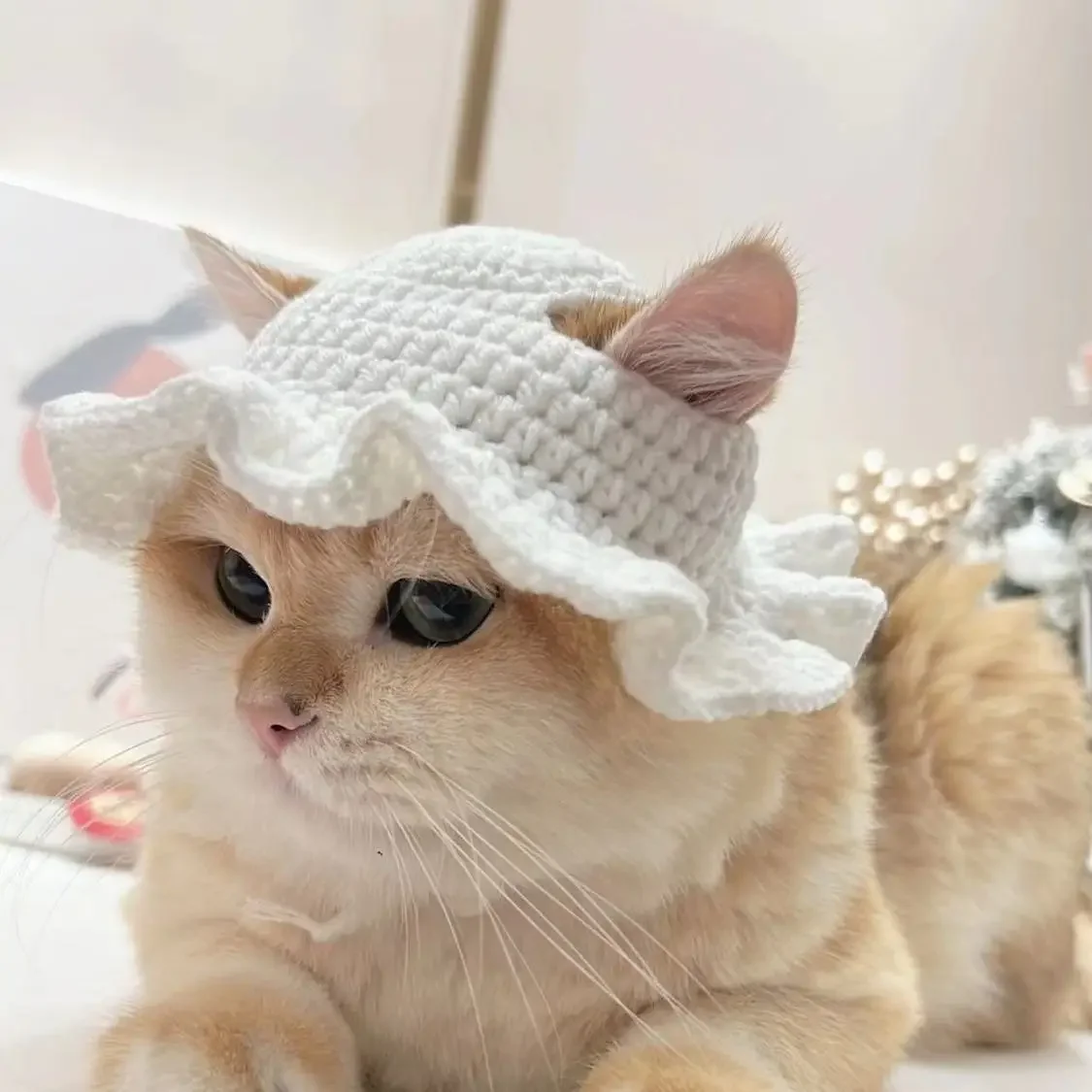 andwang/Fluffy cat knit hat/ニット帽 5,471 Cat Knit Hat Royalty-Free Images, Stock Photos & Pictures