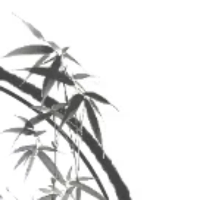 

Взрослые/дети, два стиля, зеркало для носа, расширитель ушных каналов, зеркало из нержавеющей стали, плоскогубцы для носа, носовой расширитель