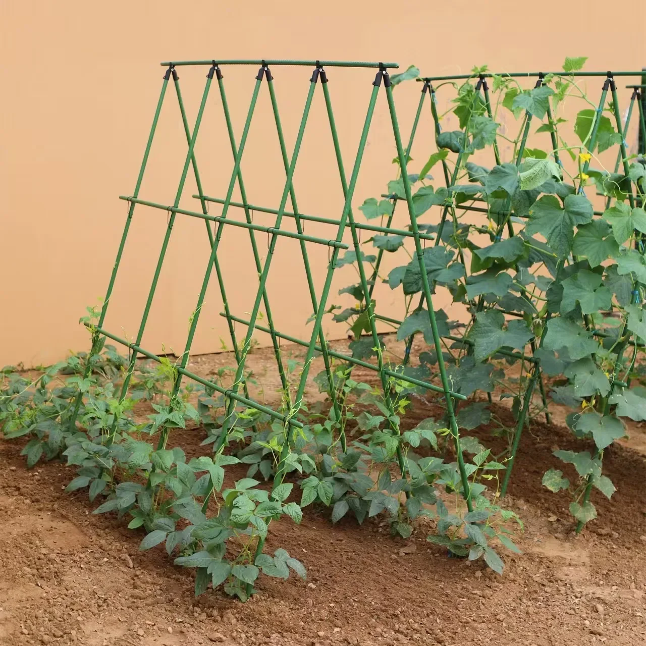 1set Sturdy Metal Climbing Plant Garden Lattice,for Cucumbers, Beans And Tomatoes-Durable Plant Support Frame