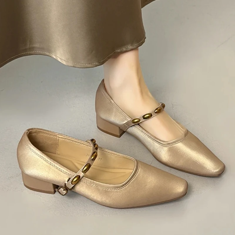 

Women's Heeled Mary Jane Shoes Elegant Shallow Chunky Shoes 2026 Spring Fashion Dress Pumps Sandals New Luxury Mujer Zapatos