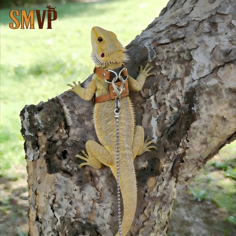 

Leather Anti Break Free Climbing Pet Traction Rope Anti Escape Does Not Hurt The Skin Chest Strap Set Pet Outdoor Supplies