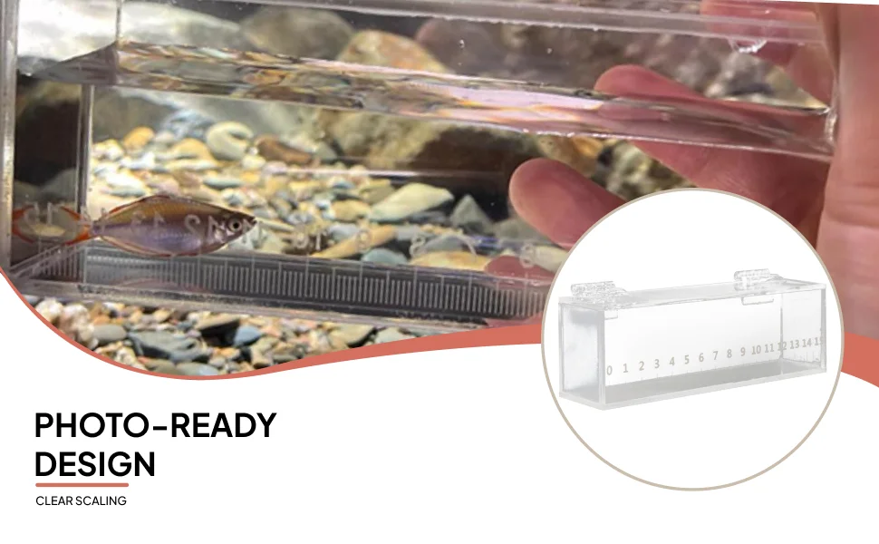 Transparent Acrylic Fish Incubator Observation Box Micro Landscape Mini Aquarium for Accessories for Freshwater Aquarium