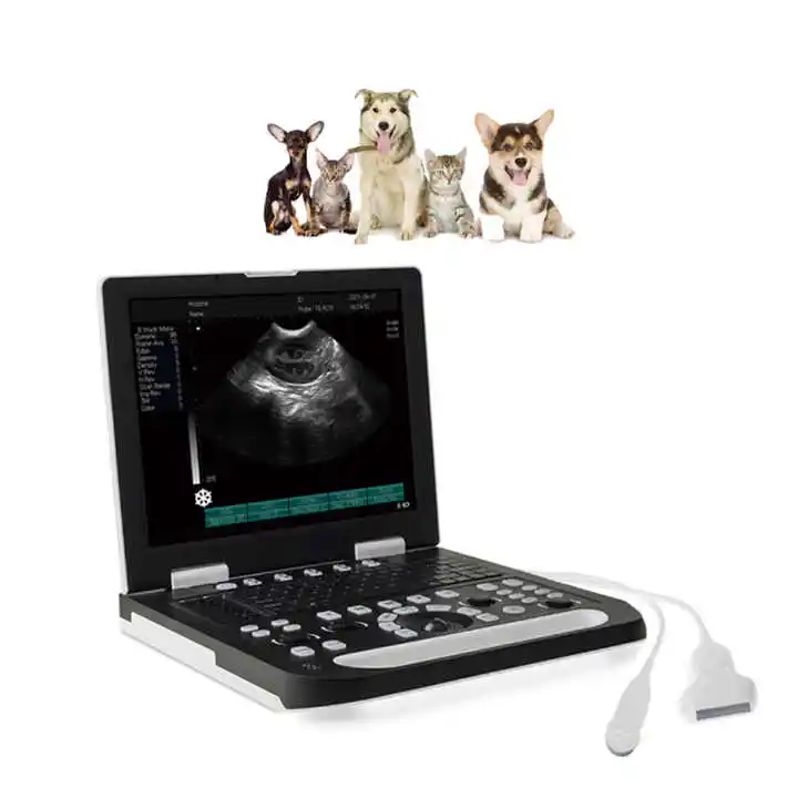 

Vet Laptop Ultrasonic Diagnostic Apparatus For Pet Hospital Livestock Sale RS-N50 (with negative ultrasound probe)