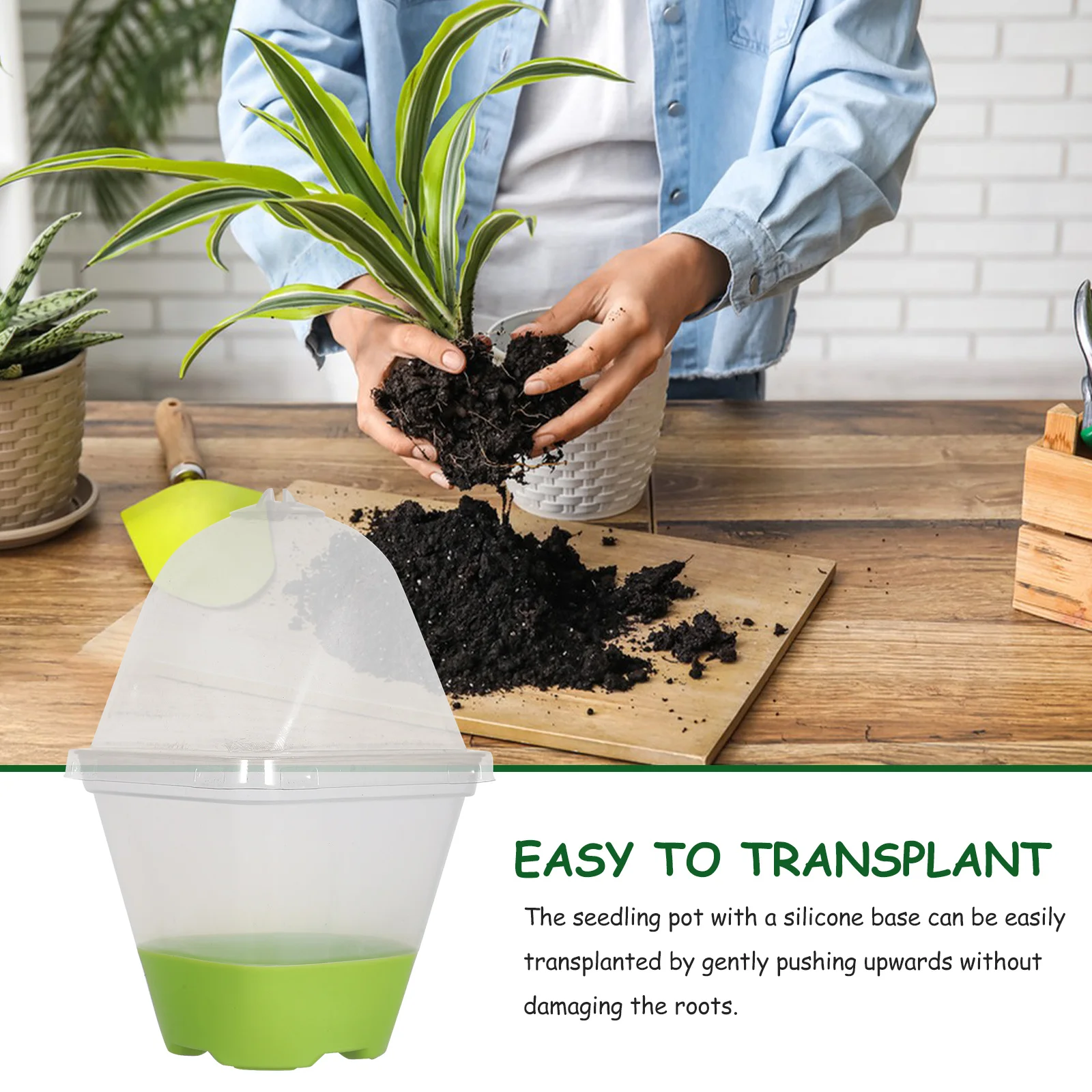 

6Pcs Clear Nursery Pots with Humidity Domes for Seedling Starter Trays Propagation Plants Small Plastic Pots with Drainage Holes