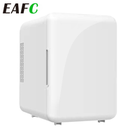 4L Mini Multifunction Refrigerator Cosmetics Mask Beverage Dormitory Refrigerators Cooler Warmer Beauty Fridge for Car