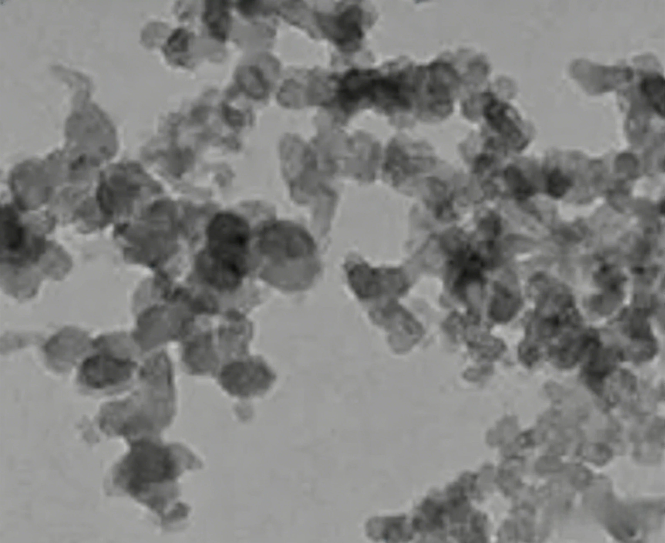 Pt1 CeO2 monoatomic catalyst for hydrogenation combustion photocatalysis Pt0 1A premium quality