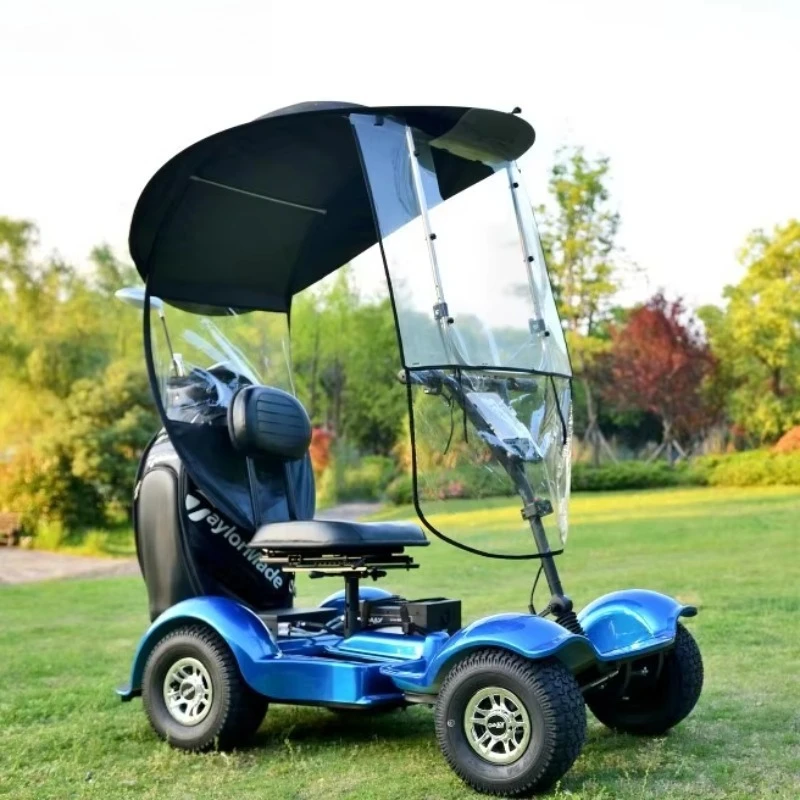 Luxury 1 Seat Electric Golf Cart Scooter with Removable Lithium Battery Four Wheels Maximum Load 150kg