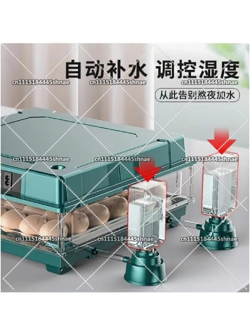 Egg Incubator Automatic Chicken 30 Egg Incubator, Days Display, Bring water bottle for Hatching Chicken Duck Quail Bird Eggs