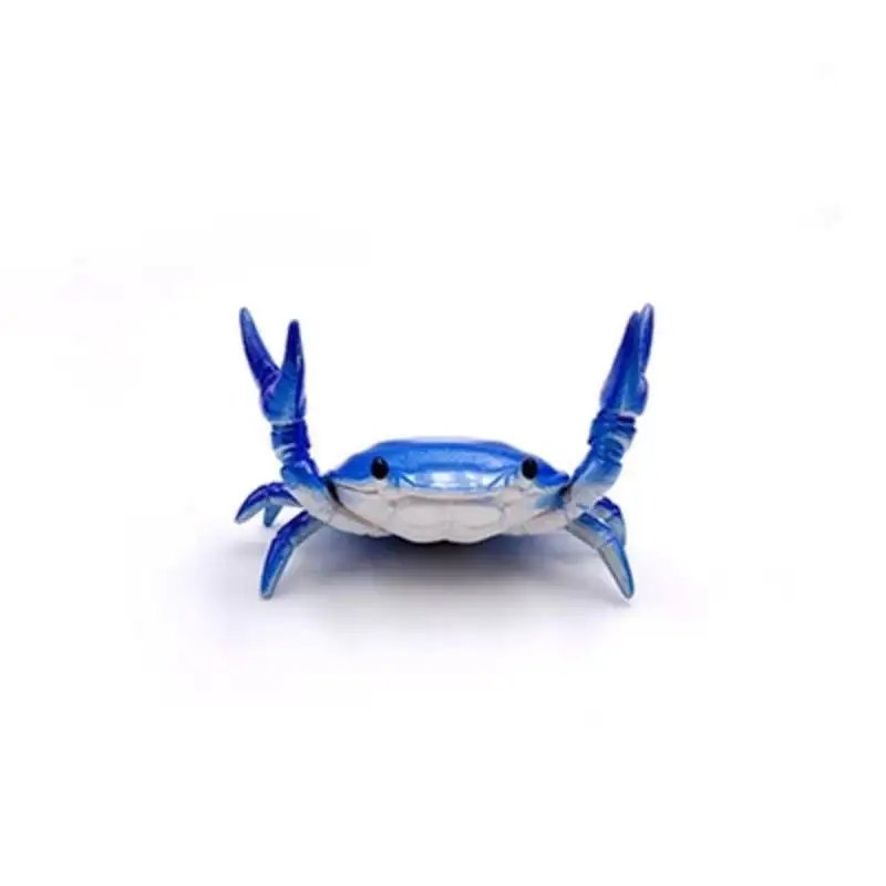 Funny Crab Desktop Pen Holder as creative stationery - Image 9