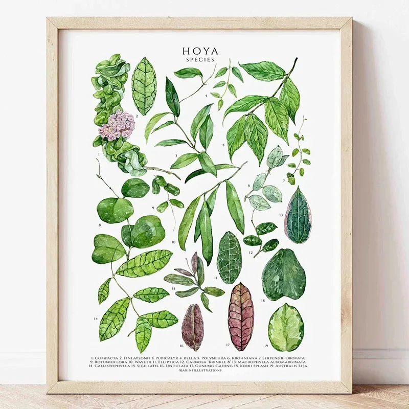 1pc Green Botanical Leaves Interior Art Print Houseplants Nature Indoors Canvas Wall Home Decor Calming Poster Foliage and Pl