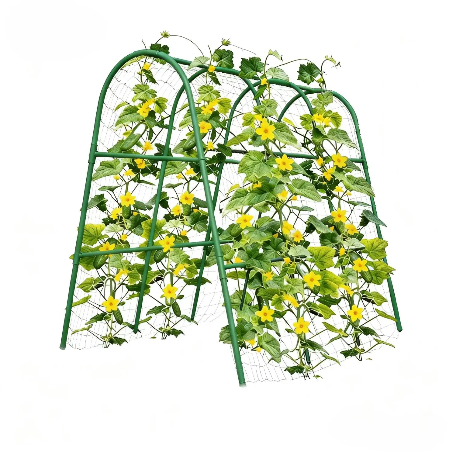 Treillis en métal en U pour concombres, support d'arche extérieur pour plantes grimpantes pour haricots, pois, courges, vigne et fleurs