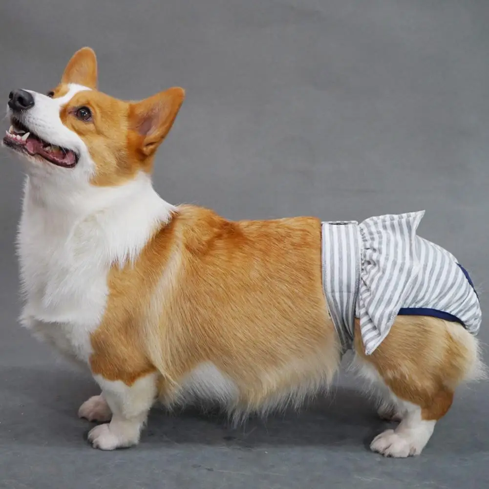 

Dog Menstrual Pants Female Sanitary Pants Dog Menstrual Underwear Breathable Striped Female Dog Diaper Underwear