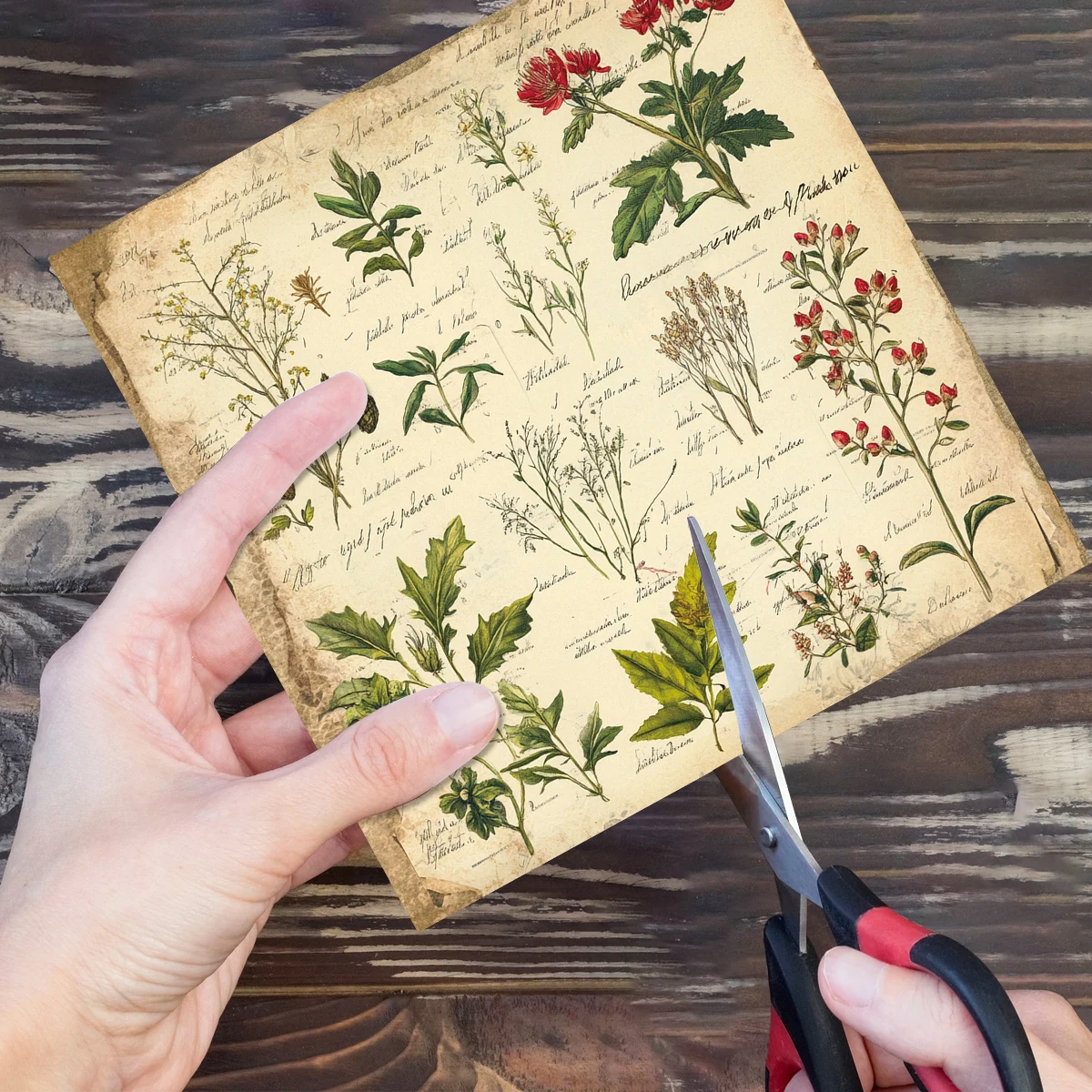 12pçs almofada de papel de flo - Books avaliação e preço