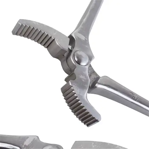 12 best sales नालबन्द - №2