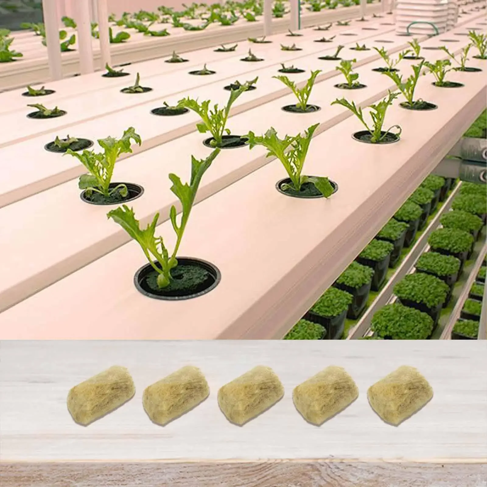 

Premium Rock Wool Substrate for Hydroponics Facilitates Healthy Root Development and Reduces Rot Risks with Two Pack Options