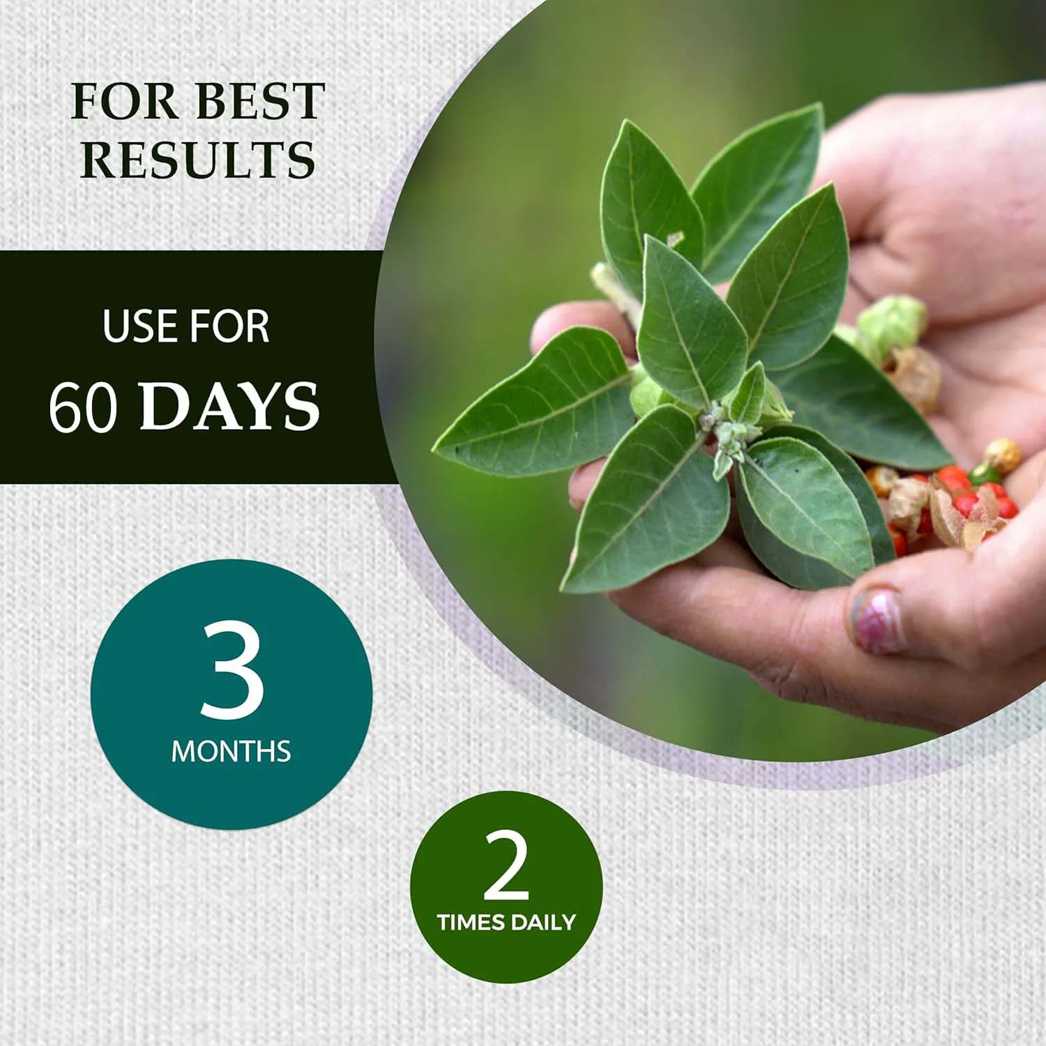 Organic Moringa Capsules - Strengthen The Immune System, Promote Metabolism, Enhance Energy, Help Detoxification, Anti-oxidation