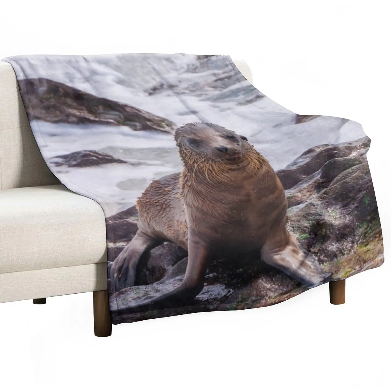 

Sea Lion on the Shore Throw Blanket Sofas Comforter Blanket Flannel Fabric