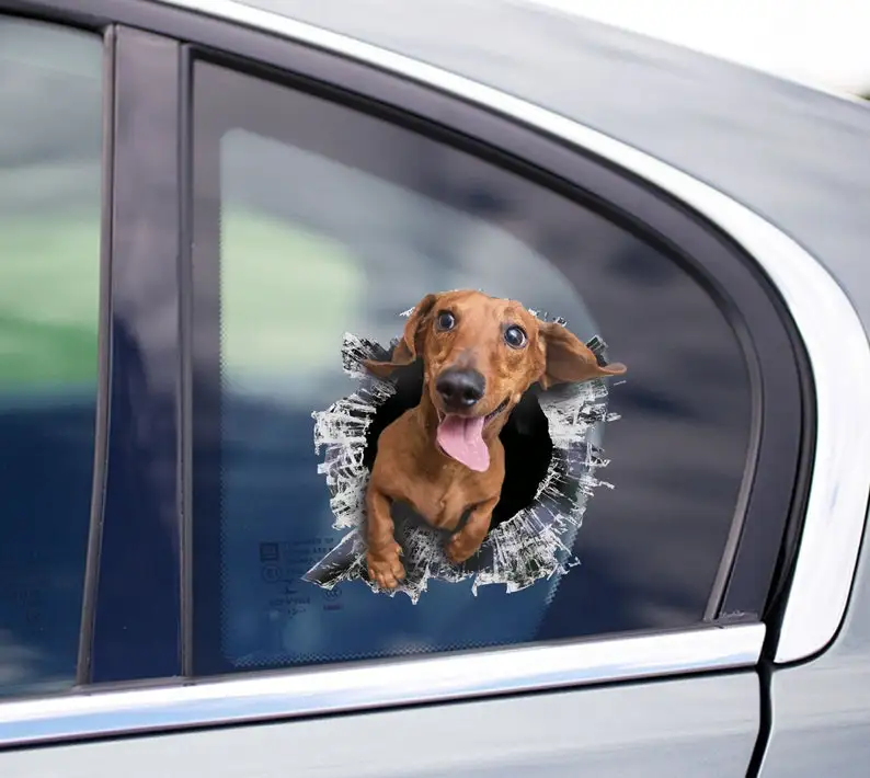 Tan Dachshund window decal, Dachshund car sticker, Tan Dachshund car decal