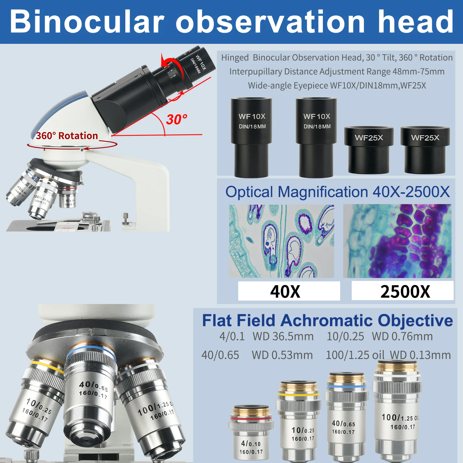 Mikroskop Laboratorium Binokul - Microscope Compound 40X ulasan dan harga