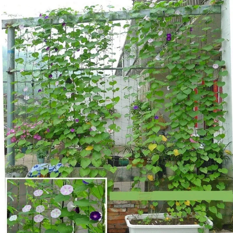 

1pc Garden Plants Climbing Net Plastic & Nylon Net Morning Glory Flower Vine Netting Support Net Grow Holder Trellis Netting