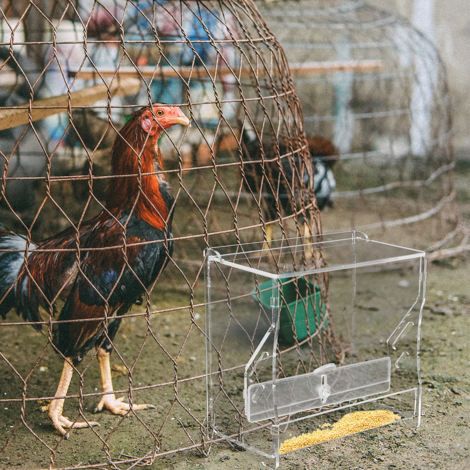 

Automatic Chicken Feeder Durable Acrylic Trough Holder Parrot Cage Rutin Pigeon Dispenser Practical Long Life