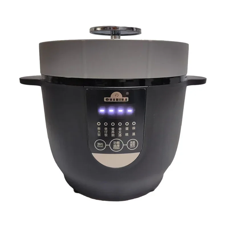 2L Dual-Use Intelligent Rice Cooker for Car And Home 24V/12V JX5