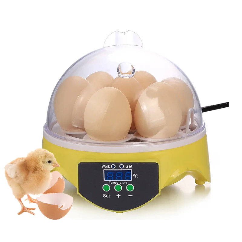 

Custom 14 Years Factory Supply Home Use Intelligent Hatchery Mini Egg Incubator For 7 Eggs