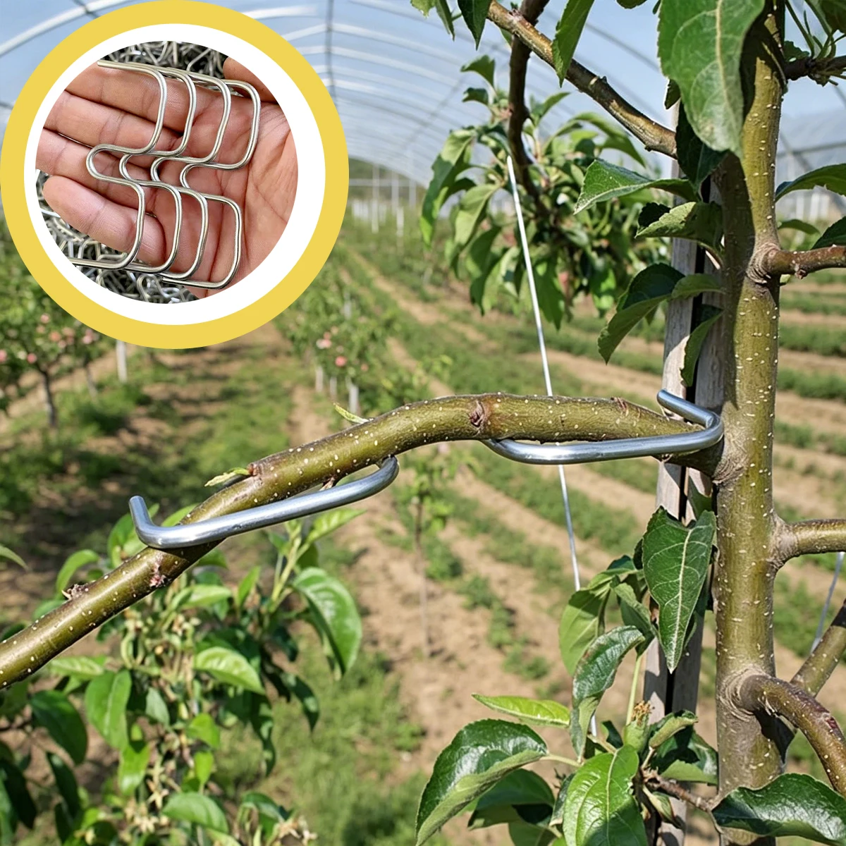 Fruit Tree Branch Puller Plant Tutors Plants Accessories Decor Agriculture Gardening Tutor Garden and Courtyard Design Outdoor