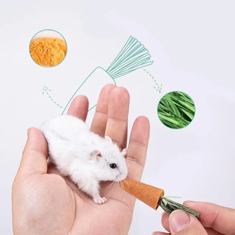 77JA Rabbit Vegetable Biscuit Naturalny trzonowiec Pet Pet Szynzyn Szyna chomika