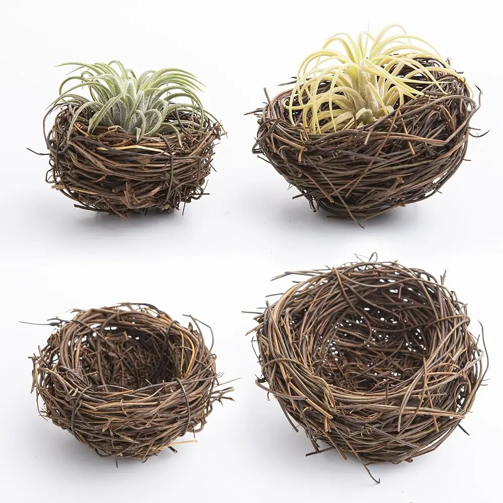

Набор из 4 подставок для воздушных растений в форме птичьего гнезда ручной работы - изделия из натурального ротанга для тилландсий, уникальный декор для рабочего стола в офисе и дома
