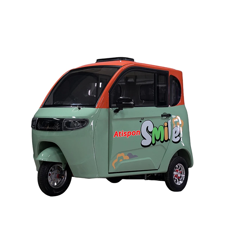 2023 New EEC 3 Wheel Electric Vehicle 800w Motor Electric Fully Enclosed  Body Electric Tricycle  For Sale