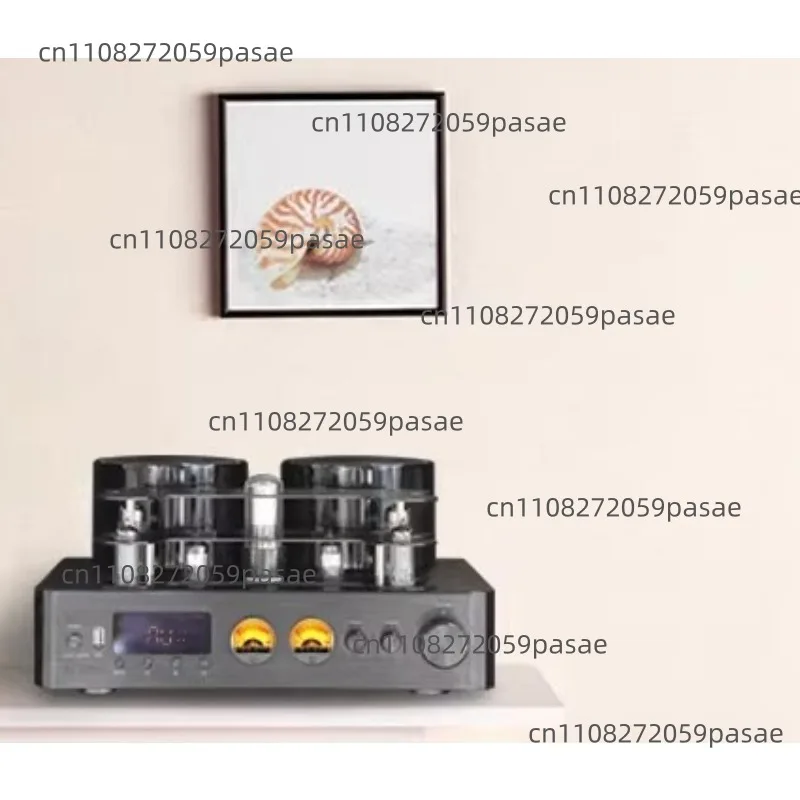 Fever Tube Amplifier High-Power Hi-Fi Amplifier 5.0 Bluetooth USB Lossless Decoding Tube Audio System