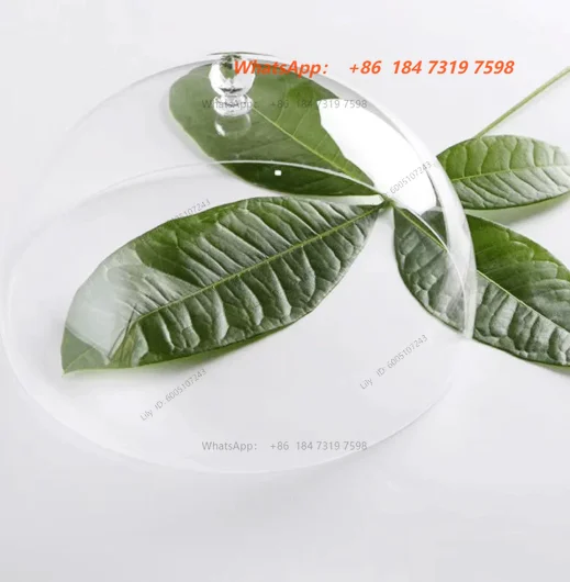 400mm - 600mm Clear acrylic dome cover Transparent PMMA Hemispherical perspex half ball Cat's nest capsule plastic hollow ball