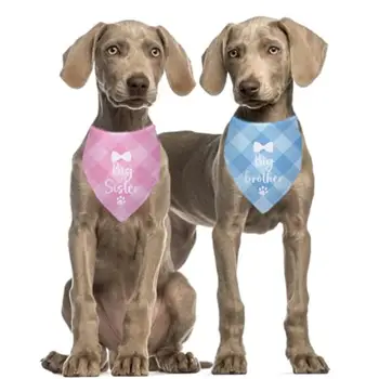 10 best sales אחות גדולה של הכלב - №10