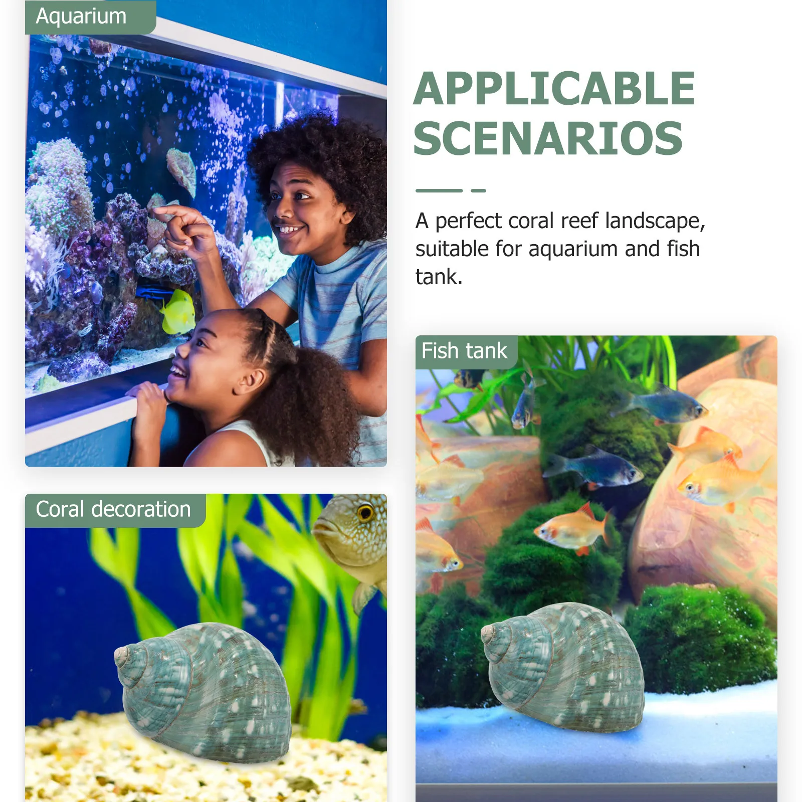 

Shell Conch Decoration Aquarium Fish Tank Ornament Exquisite Craft Natural Conch Adornments Artistic Landscape Decor Safe