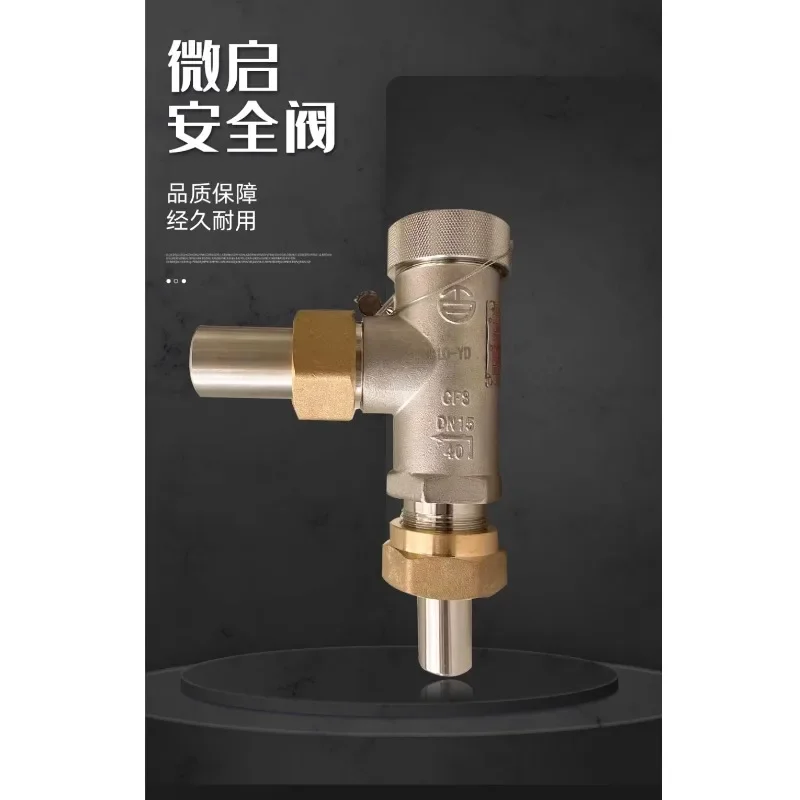 Shanghai Baitu low-temperature micro opening safety valve DA21F-40P/10/15/25 stainless steel spring type