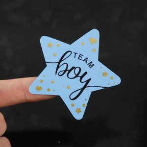 Gilding -Team -Versiegelungsaufkleber, Geschenkkashabel für Sex -Enthüllung Babyparty -Party bevorzugt Dekoration, Boy Team Girl, 5 Blätter, 60 Prozent 8 Hauptverkaufskleid -Offenbarung Tee - №1