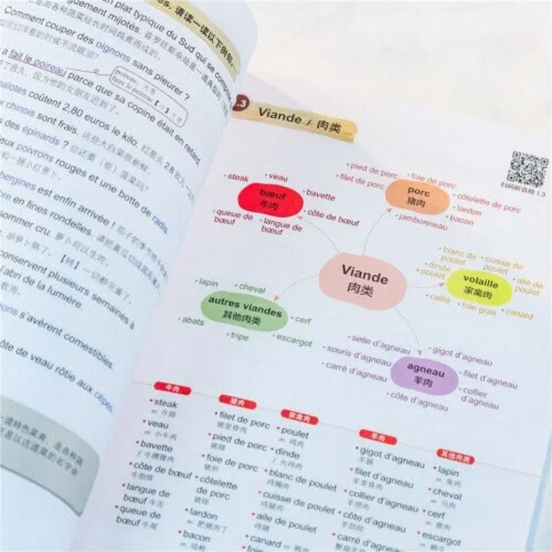 Super Easy To Use Spanish Word Book, Mind Map, Spanish Learning Book, Illustration for Easy Memory